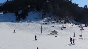 Логонаки на лыжах.16.02.2014