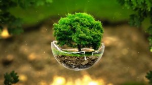 Little Tree 4K