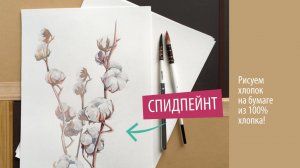 Спидпейнт: рисуем хлопок на бумаге из 100% хлопка