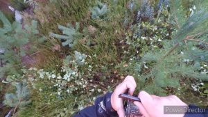 Как наточить диск кустореза. Заточка диска кустореза