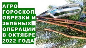 Агрогороскоп обрезки садовых растений и "зелёных операций" в октябре 2022 года