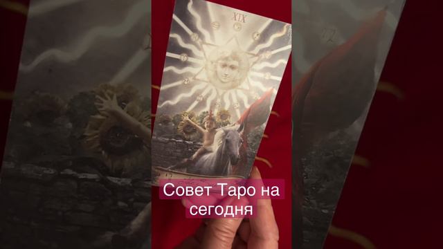 Совет Таро.Карта дня🔮 #tianatarot #shortsvideo