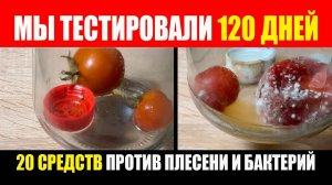 Прошло 120 дней. Тест 20 средств против плесени и бактерий. Помидоры На Зиму