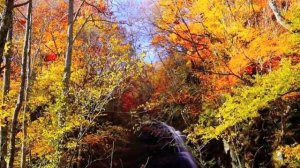 Н.М.Рубцов "Сентябрь"