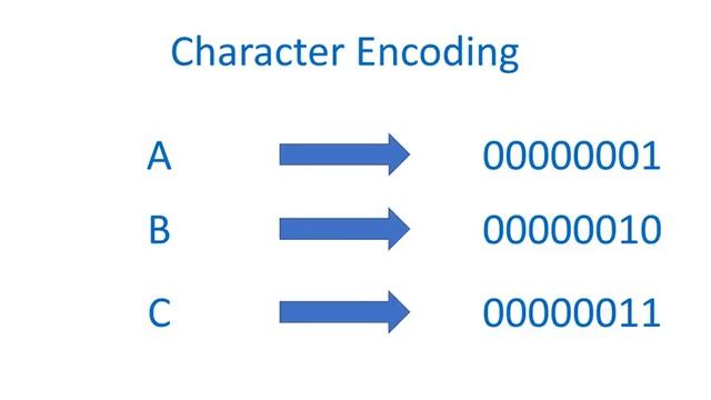Data Encoding
