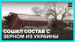 В Румынии перевернулся состав с украинским зерном - Москва 24