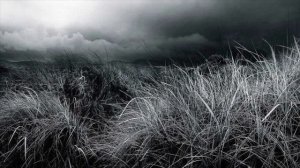 I'm Gone / Levan Lomidze & Blues Cousins (lyrics)