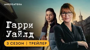 Гарри Уайлд | 3 сезон | Амедиатека (2024)