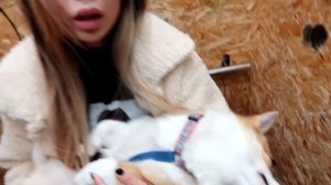 ДЕКСТЕРА И ДЕВУШКУ ВЫГНАЛИ ИЗ ДОМА