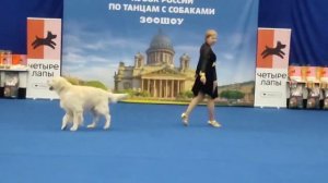 Санкт Петербург.  Соревнования " Танцы с собаками"