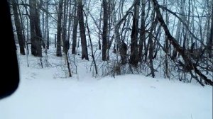 Самодельный мотобуксировщик с самодельной гусеницей!