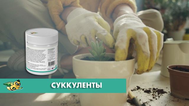 БИОСТИМУЛЯТОР РОСТА СУККУЛЕНТОВ смотреть онлайн