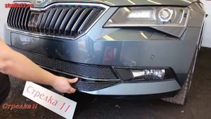 Защита радиатора PREMIUM SKODA SUPERB III 2015-2018г.в. (Черный) - strelka11.ru