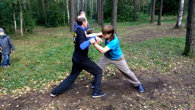 Тайцзи-туйшоу марафон Сосновая шишка 2017. Команда Илицюань 8 смотреть онлайн