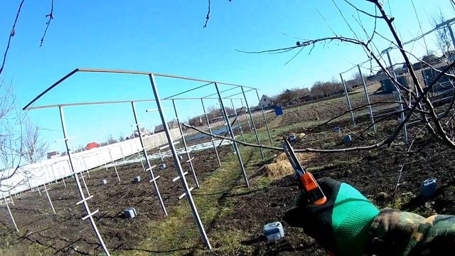 Обрезка яблони 4-х летки на плодоношение в феврале смотреть онлайн