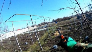 Обрезка яблони 4-х летки на плодоношение в феврале