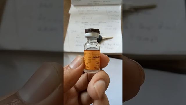 Amikacin Injection