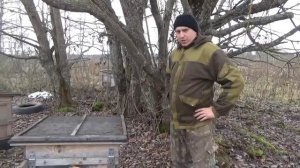 Нашёл Заброшеную Пасеку,Когда Копал Металл,Пчёлки В опасности!!!