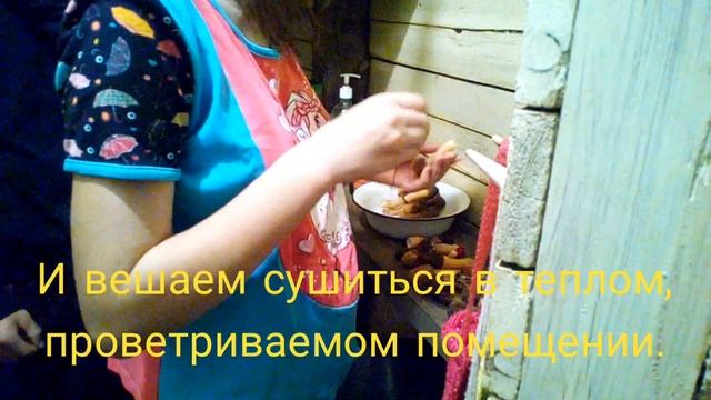 Сушим сморчки
