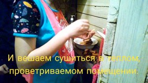 Сушим сморчки