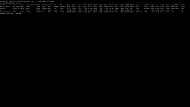 Exploiting --privileged flag in container смотреть онлайн