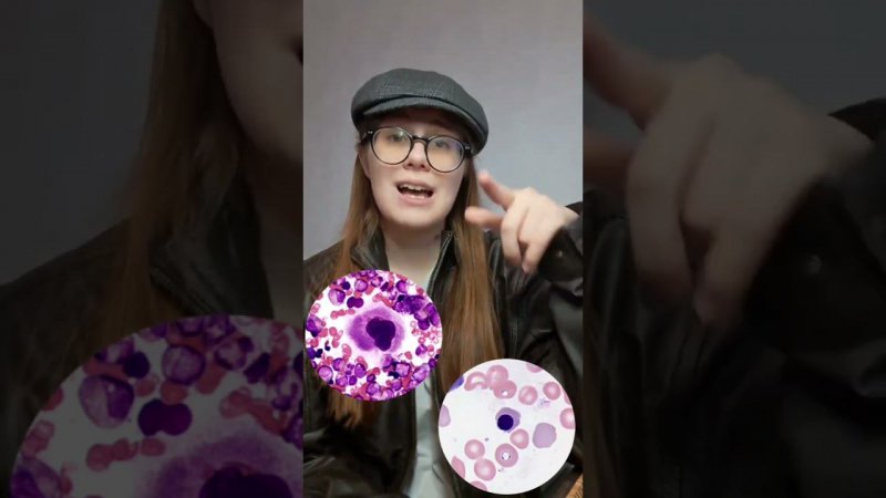 Хочешь получить годовой курс нашей школы БЕСПЛАТНО? Пиши + в комментариях и я все расскажу