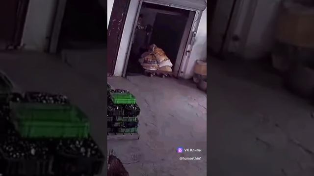 Ведут же некоторым) смотреть онлайн