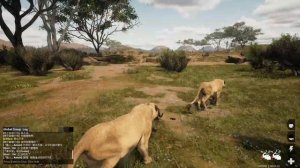 СИМУЛЯТОР ЖИВОТНЫХ Animalia Survival ДИКИЕ КОШКИ ЛЕВ И ЛЕОПАРД