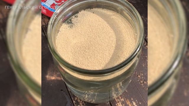 Клубника Засыплет Урожаем! Лейте Весной Это Под Клубнику по 1л. под куст. смотреть онлайн