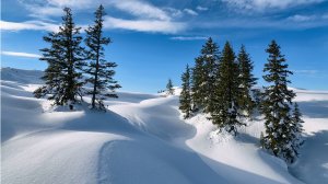 В Дивногорске дивный снег