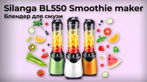 Обзор стационарного блендера Silanga BL550 Smoothie maker