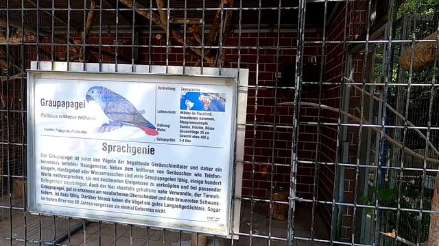 Семейный Канал из Германии. Сказочный Лес в Баварии. Семейный Влог