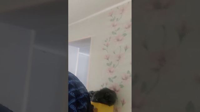отдых