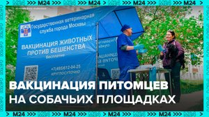 Больше 120 пунктов вакцинации будут работать на площадках для выгула собак - Москва 24