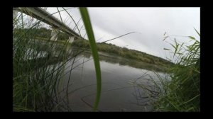 Рыбалка в проводку на реке Угре в Калужской области. Июнь 2019