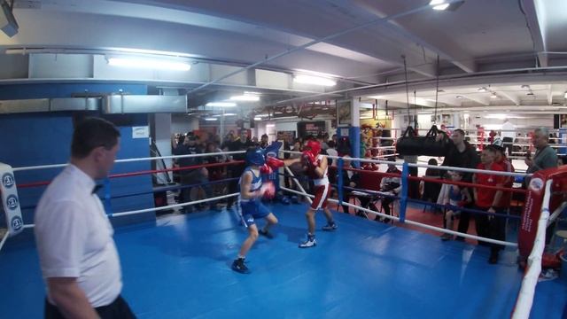 22 февраля Синий Ринг 7 пара 2 раунд смотреть онлайн