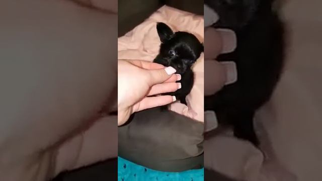 Моя маленькая малышка. смотреть онлайн