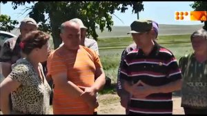 Падеж скота продолжается