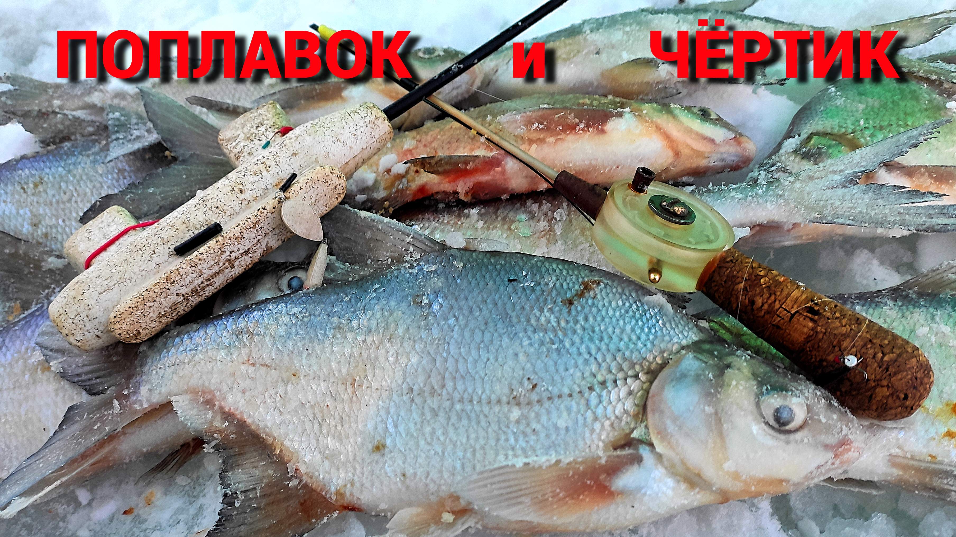 ЗИМНИЙ ПОПЛАВОК и ЧЁРТИК. Рыбалка в палатке на ИСТРЕ.