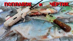 ЗИМНИЙ ПОПЛАВОК и ЧЁРТИК. Рыбалка в палатке на ИСТРЕ.