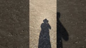 Джип тур на Аральское море с заездом в Нукус в музей Савицкого.