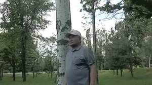 Обону Асанкалый Керимбаев Ошонун баарын мен деп бил.Атк Токтор Бекбоев