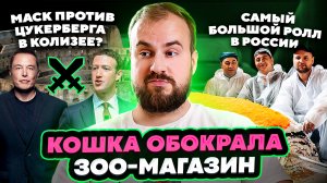 Маск будет сражаться с Цукербергом в Колизее/Самый огромный ролл в России/Кошка обокрала зоо-магазин