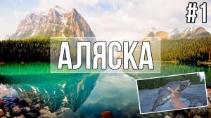 Путешествие по Аляске — ловим рыбу голыми руками | Рыбалка на Аляске!