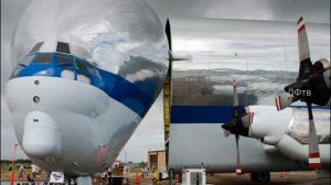 Beluga  самолёт   гигант, похожий на кита