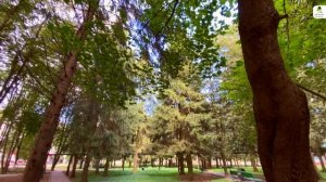 Памятник природы «Парк д. Кудиново» 31/146 
#здравствуйте_явашаООПТ