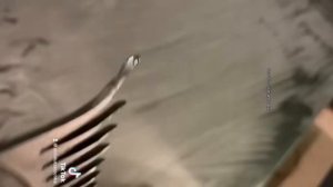 Заточка ножей на машинки для стрижки овец - до и после, процесс последовательно - Студия Абсолют