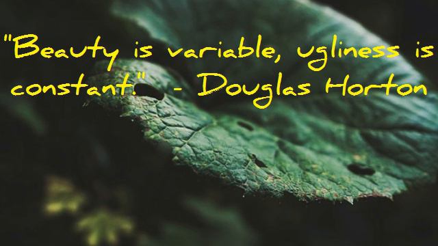 Short Life Quotes - Beauty Quotes смотреть онлайн