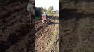 Первая копка картофеля на самодельном минитракторе из мотоблока агрос.