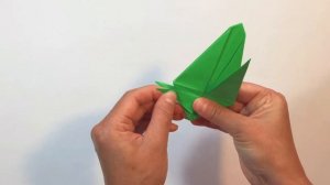 Origami Turtle-How to make Origami Turtle-Paper Turtle-Tortoise-Paper Crafts-Origami su kaplumbağa